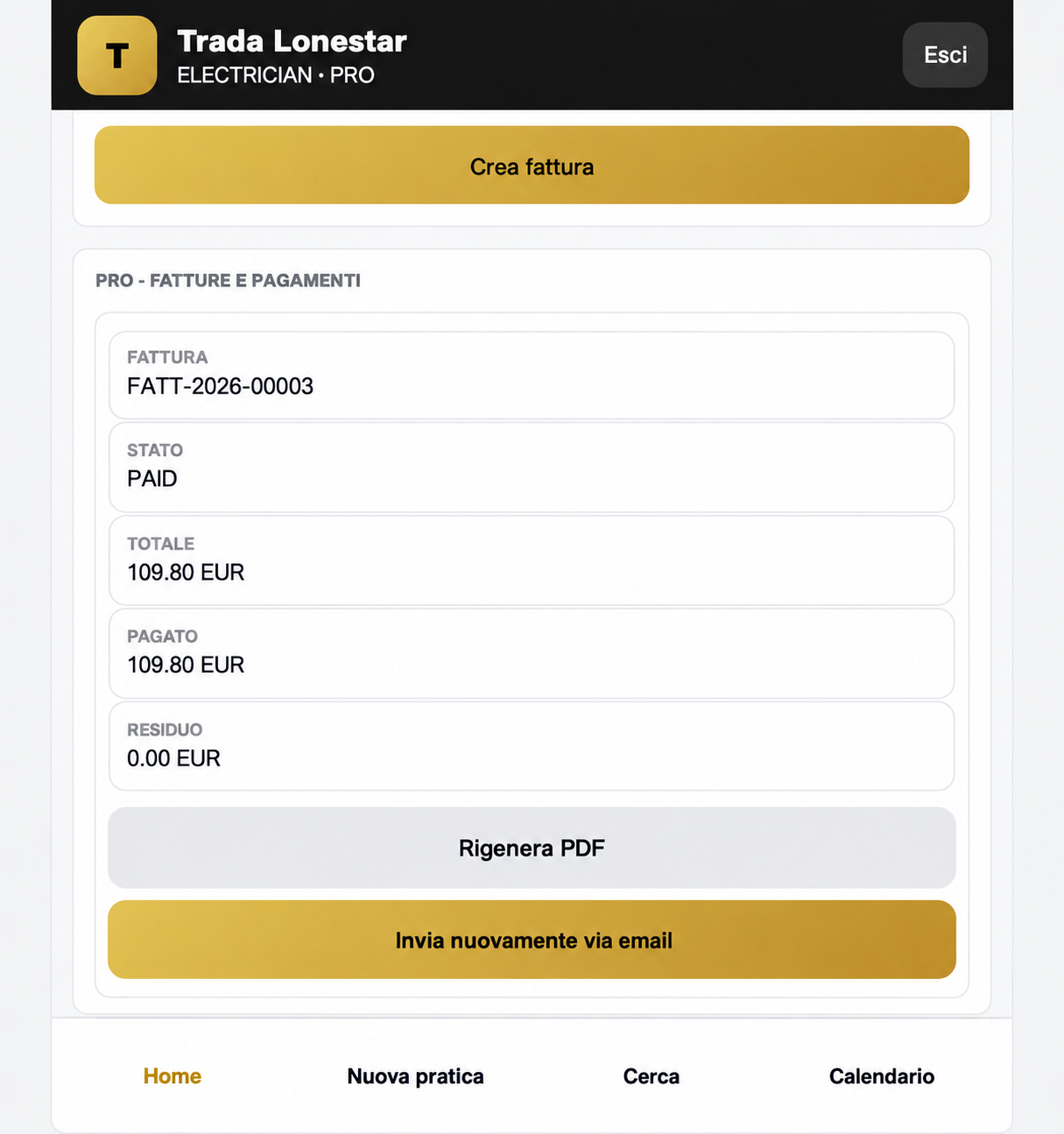 Dettaglio fattura pagata in DML Universal System PRO